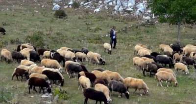 &Tau;&omicron;&mu;&epsilon;&alpha;&kappa;ή &Epsilon;&pi;&iota;&tau;&rho;&omicron;&pi;ή &Lambda;ή&mu;&nu;&omicron;&upsilon; &Kappa;&Kappa;&Epsilon;: &laquo;&Nu;&alpha; &sigma;&upsilon;&sigma;&pi;&epsilon;&iota;&rho;&omega;&theta;&omicron;ύ&nu; &omicron;&iota; &alpha;&gamma;&rho;ό&tau;&epsilon;&sigmaf; &kappa;&alpha;&iota; &omicron;&iota; &kappa;&tau;&eta;&nu;&omicron;&tau;&rho;ό&phi;&omicron;&iota; &delta;&iota;&epsilon;&kappa;&delta;&iota;&kappa;ώ&nu;&tau;&alpha;&sigmaf; &tau;&alpha; &alpha;&iota;&tau;ή&mu;&alpha;&tau;ά &tau;&omicron;&upsilon;&sigmaf;&raquo;