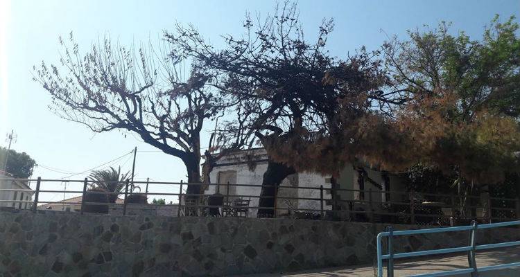 &Iota;&pi;&pi;ό&kappa;&alpha;&mu;&pi;&omicron;&sigmaf;: &Omicron; &Alpha;.&Omicron; &laquo;&Pi;&rho;&omicron;&pi;&omicron;&nu;&tau;ί&sigmaf;&raquo; &epsilon;&upsilon;&chi;&alpha;&rho;&iota;&sigma;&tau;&epsilon;ί &gamma;&iota;&alpha; &tau;&eta; &chi;&theta;&epsilon;&sigma;&iota;&nu;ή &sigma;&upsilon;&nu;&alpha;&upsilon;&lambda;ί&alpha; &alpha;&lambda;&lambda;&eta;&lambda;&epsilon;&gamma;&gamma;ύ&eta;&sigmaf;