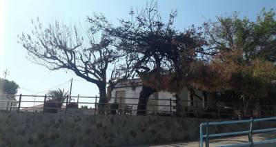 &Iota;&pi;&pi;ό&kappa;&alpha;&mu;&pi;&omicron;&sigmaf;: &Omicron; &Alpha;.&Omicron; &laquo;&Pi;&rho;&omicron;&pi;&omicron;&nu;&tau;ί&sigmaf;&raquo; &epsilon;&upsilon;&chi;&alpha;&rho;&iota;&sigma;&tau;&epsilon;ί &gamma;&iota;&alpha; &tau;&eta; &chi;&theta;&epsilon;&sigma;&iota;&nu;ή &sigma;&upsilon;&nu;&alpha;&upsilon;&lambda;ί&alpha; &alpha;&lambda;&lambda;&eta;&lambda;&epsilon;&gamma;&gamma;ύ&eta;&sigmaf;