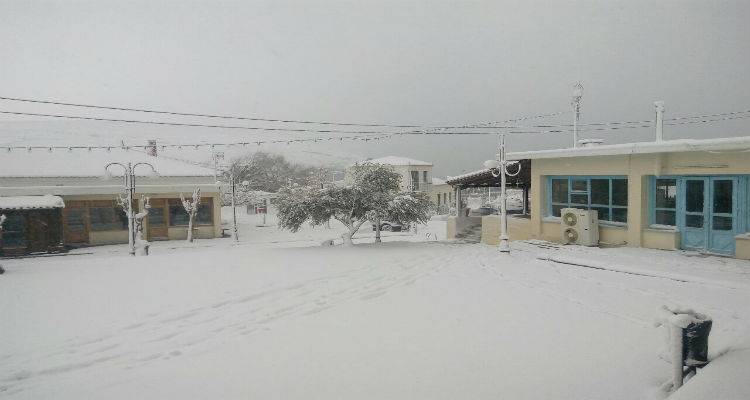 &Kappa;&lambda;&epsilon;&iota;&sigma;&tau;ά &alpha;ύ&rho;&iota;&omicron; &kappa;&alpha;&iota; &tau;&alpha; &sigma;&chi;&omicron;&lambda;&epsilon;ί&alpha; &sigma;&tau;&omicron;&nu; Ά&gamma;&iota;&omicron; &Epsilon;&upsilon;&sigma;&tau;&rho;ά&tau;&iota;&omicron; (photos)