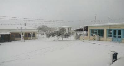 &Kappa;&lambda;&epsilon;&iota;&sigma;&tau;ά &alpha;ύ&rho;&iota;&omicron; &kappa;&alpha;&iota; &tau;&alpha; &sigma;&chi;&omicron;&lambda;&epsilon;ί&alpha; &sigma;&tau;&omicron;&nu; Ά&gamma;&iota;&omicron; &Epsilon;&upsilon;&sigma;&tau;&rho;ά&tau;&iota;&omicron; (photos)