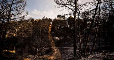Σύλλογος Συγγενών Θυμάτων στο Μάτι κατά Τσίπρα για την «Ιθάκη»: Χρησιμοποιεί την τραγωδία μας για προσωπική αποκατάσταση