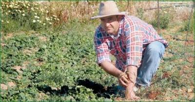 &Alpha;&nu;&alpha;&rho;&tau;ή&theta;&eta;&kappa;&alpha;&nu; &omicron;&iota; &omicron;&rho;&iota;&sigma;&tau;&iota;&kappa;έ&sigmaf; &kappa;&alpha;&tau;&alpha;&sigma;&tau;ά&sigma;&epsilon;&iota;&sigmaf; &Lambda;&eta;&mu;&nu;&iota;ώ&nu; &delta;&iota;&kappa;&alpha;&iota;&omicron;ύ&chi;&omega;&nu; &beta;&iota;&omicron;&lambda;&omicron;&gamma;&iota;&kappa;ή&sigmaf; &gamma;&epsilon;&omega;&rho;&gamma;ί&alpha;&sigmaf;