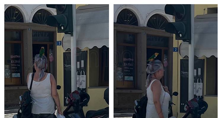 &Sigma;ή&mu;&epsilon;&rho;&alpha; &tau;&omicron; &pi;&rho;&omega;ί, &sigma;&tau;&omicron; &lambda;&iota;&mu;ά&nu;&iota; &tau;&eta;&sigmaf; &Mu;ύ&rho;&iota;&nu;&alpha;&sigmaf; 