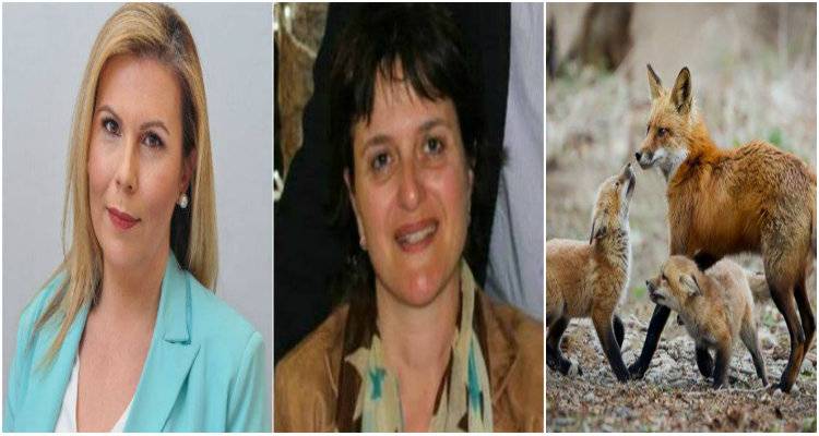 &Phi;&omega;&tau;&omicron;&pi;&omicron;ύ&lambda;&omicron;&upsilon; &kappa;&alpha;&iota; &Sigma;&kappa;&omicron;ύ&rho;&alpha;&sigmaf; &alpha;&pi;&alpha;&nu;&tau;&omicron;ύ&nu; &sigma;&tau;&eta; &Gamma;&epsilon;ώ&rho;&gamma;&alpha;