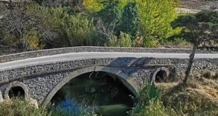 &Phi;&omega;&tau;ό: &Lambda;&omicron;&upsilon;&kappa;ά&sigmaf; &Chi;&alpha;&psi;ή&sigmaf;