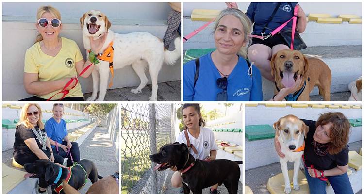 &Tau;&alpha; &alpha;&delta;&epsilon;&sigma;&pi;&omicron;&tau;ά&kappa;&iota;&alpha; &tau;&eta;&sigmaf; &Lambda;ή&mu;&nu;&omicron;&upsilon; &laquo;&chi;ό&rho;&tau;&alpha;&sigma;&alpha;&nu;&raquo; &beta;ό&lambda;&tau;&alpha;, &pi;&alpha;&iota;&chi;&nu;ί&delta;&iota; &kappa;&iota; &alpha;&gamma;ά&pi;&eta;