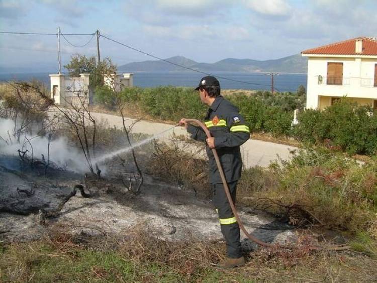 &Kappa;&alpha;&theta;&alpha;&rho;&iota;&sigma;&mu;ό&sigmaf; &iota;&delta;&iota;&omicron;&kappa;&tau;&eta;&sigma;&iota;ώ&nu; &alpha;&pi;ό &chi;ό&rho;&tau;&alpha; &gamma;&iota;&alpha; &tau;&upsilon;&chi;ό&nu; &pi;&upsilon;&rho;&kappa;&alpha;&gamma;&iota;ά