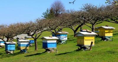 &laquo;&Delta;&eta;&lambda;&eta;&tau;&eta;&rho;&iota;ά&sigma;&epsilon;&iota;&sigmaf; &mu;&epsilon;&lambda;&iota;&sigma;&sigma;&omicron;&sigma;&mu;&eta;&nu;ώ&nu; &alpha;&pi;ό &epsilon;&phi;&alpha;&rho;&mu;&omicron;&gamma;ή &gamma;&epsilon;&omega;&rho;&gamma;&iota;&kappa;ώ&nu; &phi;&alpha;&rho;&mu;ά&kappa;&omega;&nu;&raquo;