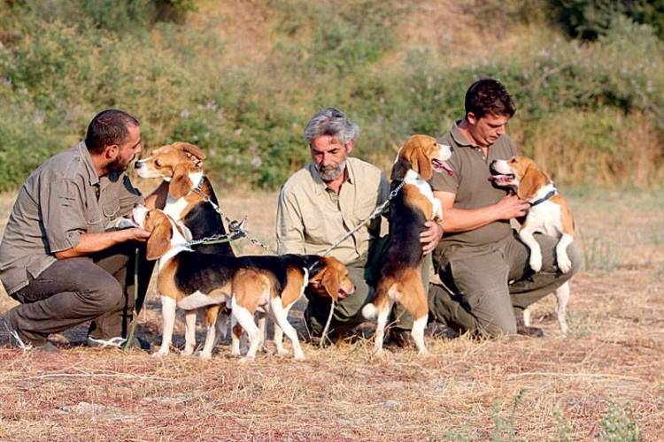 &Eta;&mu;&epsilon;&rho;ί&delta;&alpha; &Kappa;&upsilon;&nu;&omicron;&phi;&iota;&lambda;ί&alpha;&sigmaf; &sigma;&tau;&eta; &Lambda;ή&mu;&nu;&omicron; &mu;&epsilon; &theta;έ&mu;&alpha;  &laquo;&Kappa;&alpha;&theta;&alpha;&rho;ό&alpha;&iota;&mu;&alpha; &epsilon;&kappa;&tau;&rho;&omicron;&phi;ή &kappa;&alpha;&iota; &epsilon;&kappa;&pi;&alpha;ί&delta;&epsilon;&upsilon;&sigma;&eta;&raquo;