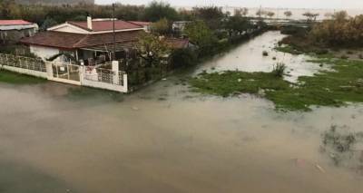 &Kappa;&alpha;&kappa;&omicron;&kappa;&alpha;&iota;&rho;ί&alpha;: &Kappa;&iota;&nu;&delta;ύ&nu;&epsilon;&upsilon;&sigma;&alpha;&nu; &zeta;&omega;έ&sigmaf; &alpha;&pi;ό &tau;&eta;&nu; &kappa;&alpha;&kappa;&omicron;&kappa;&alpha;&iota;&rho;ί&alpha; - &Mu;&epsilon;&gamma;ά&lambda;&epsilon;&sigmaf; &kappa;&alpha;&tau;&alpha;&sigma;&tau;&rho;&omicron;&phi;έ&sigmaf; &sigma;&tau;&eta; &Delta;&upsilon;&tau;&iota;&kappa;ή &Epsilon;&lambda;&lambda;ά&delta;&alpha;