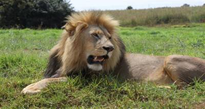 "&Omicron; &Kappa;&lambda;έ&psi;&alpha;&sigmaf; &tau;&omicron;&upsilon; &kappa;&lambda;έ&psi;&alpha;&nu;&tau;&omicron;&sigmaf;"