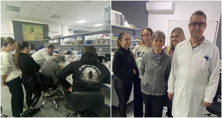 &Omicron;&iota; &sigma;&pi;&omicron;&upsilon;&delta;&alpha;&sigma;&tau;έ&sigmaf; &tau;&eta;&sigmaf; &Sigma;.&Alpha;.&Epsilon;.&Kappa;. &epsilon;&kappa;&pi;&omicron;&nu;&omicron;ύ&nu; &pi;&epsilon;&iota;&rho;ά&mu;&alpha;&tau;&alpha; &sigma;&tau;&omicron; &Epsilon;&rho;&gamma;&alpha;&sigma;&tau;ή&rho;&iota;&omicron; &tau;&omicron;&upsilon; &Pi;&alpha;&nu;&epsilon;&pi;&iota;&sigma;&tau;&eta;&mu;ί&omicron;&upsilon;