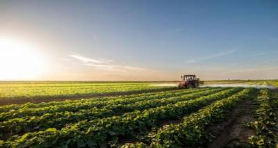 &quot;Συντριπτική η δημόσια υποστήριξη&quot; για τους Βρετανούς αγρότες