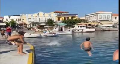 11&chi;&rho;&omicron;&nu;&omicron; &pi;&alpha;&iota;&delta;ί &tau;&rho;&alpha;&upsilon;&mu;&alpha;&tau;ί&sigma;&tau;&eta;&kappa;&epsilon; &sigma;&tau;&omicron; &lambda;&iota;&mu;&alpha;&nu;ά&kappa;&iota; &tau;&eta;&sigmaf; &Mu;ύ&rho;&iota;&nu;&alpha;&sigmaf;
