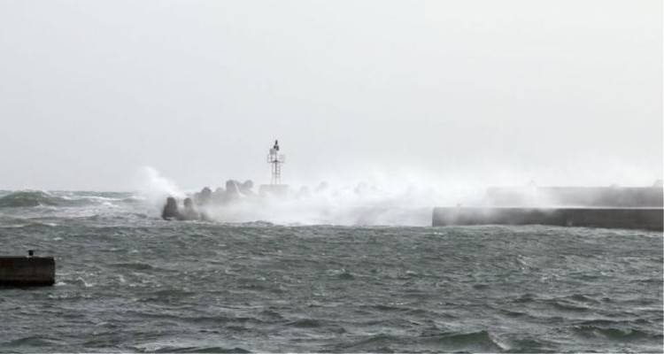 Έ&nu;&tau;&omicron;&nu;&alpha; &kappa;&alpha;&iota;&rho;&iota;&kappa;ά &phi;&alpha;&iota;&nu;ό&mu;&epsilon;&nu;&alpha; &sigma;&tau;&eta; &delta;&upsilon;&tau;&iota;&kappa;ή &Lambda;έ&sigma;&beta;&omicron; | &Zeta;&eta;&mu;&iota;έ&sigmaf; &sigma;&epsilon; &sigma;&pi;ί&tau;&iota;&alpha;, &mu;&alpha;&gamma;&alpha;&zeta;&iota;ά &kappa;&alpha;&iota; &alpha;&upsilon;&tau;&omicron;&kappa;ί&nu;&eta;&tau;&alpha;