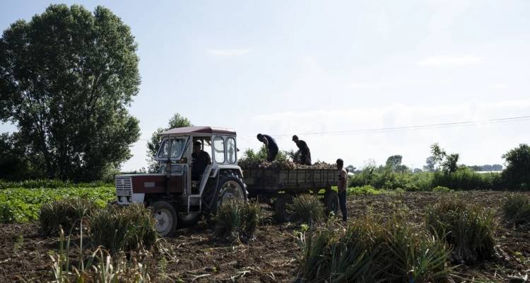 &Epsilon;&Lambda;&Gamma;&Alpha;: Έ&rho;&chi;&omicron;&nu;&tau;&alpha;&iota; &pi;&lambda;&eta;&rho;&omega;&mu;έ&sigmaf; &alpha;&pi;&omicron;&zeta;&eta;&mu;&iota;ώ&sigma;&epsilon;&omega;&nu;, &pi;&omicron;&iota;&omicron;&upsilon;&sigmaf; &alpha;&phi;&omicron;&rho;ά