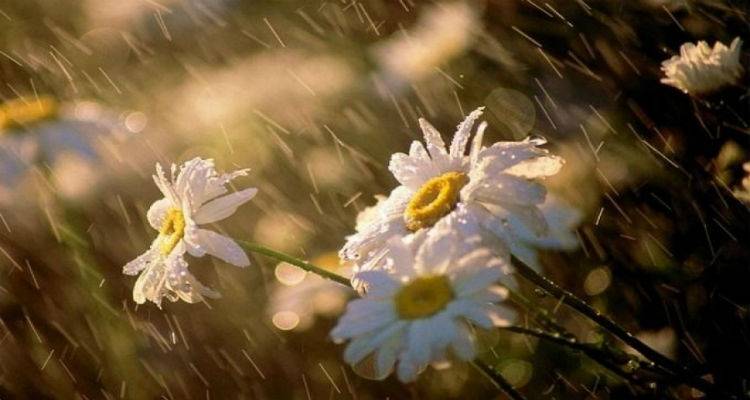 Στη μισή Λήμνο ήλιος και στην άλλη μισή χαλάζι… Μάρτης είπαμε!