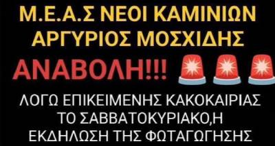 &Alpha;&nu;&alpha;&beta;&omicron;&lambda;ή &tau;&eta;&sigmaf; &phi;&omega;&tau;&alpha;&gamma;ώ&gamma;&eta;&sigma;&eta;&sigmaf; &tau;&omicron;&upsilon; &Chi;&rho;&iota;&sigma;&tau;&omicron;&upsilon;&gamma;&epsilon;&nu;&nu;&iota;ά&tau;&iota;&kappa;&omicron;&upsilon; &delta;έ&nu;&tau;&rho;&omicron;&upsilon; &alpha;&pi;ό &tau;&omicron;&upsilon;&sigmaf; &nu;έ&omicron;&upsilon;&sigmaf; &tau;&omega;&nu; &Kappa;&alpha;&mu;&iota;&nu;ί&omega;&nu; &lambda;ό&gamma;&omega; &kappa;&alpha;&iota;&rho;&omicron;ύ
