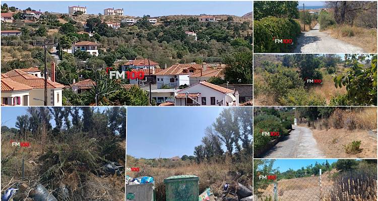 &Alpha;&mu;&upsilon;&gamma;&delta;&alpha;&lambda;&iota;έ&sigmaf;, &tau;&omicron; &epsilon;&nu; &delta;&upsilon;&nu;ά&mu;&epsilon;&iota; &laquo;&Mu;ά&tau;&iota;&raquo; &tau;&eta;&sigmaf; &Lambda;ή&mu;&nu;&omicron;&upsilon;