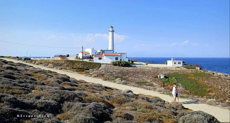 &Alpha;&nu;&omicron;&iota;&chi;&tau;ό&sigmaf; &gamma;&iota;&alpha; &tau;&omicron; &kappa;&omicron;&iota;&nu;ό &omicron; &Phi;ά&rho;&omicron;&sigmaf; &Pi;&lambda;ά&kappa;&alpha;&sigmaf; &Lambda;ή&mu;&nu;&omicron;&upsilon; &tau;&eta;&nu; &Kappa;&upsilon;&rho;&iota;&alpha;&kappa;ή 17 &Alpha;&upsilon;&gamma;&omicron;ύ&sigma;&tau;&omicron;&upsilon; | &Sigma;&upsilon;&mu;&mu;&epsilon;&tau;&omicron;&chi;ή &sigma;&tau;&omicron;&nu; &epsilon;&omicron;&rho;&tau;&alpha;&sigma;&mu;ό &tau;&eta;&sigmaf; &Pi;&alpha;&gamma;&kappa;ό&sigma;&mu;&iota;&alpha;&sigmaf; &Eta;&mu;έ&rho;&alpha;&sigmaf; &Phi;ά&rho;&omega;&nu;