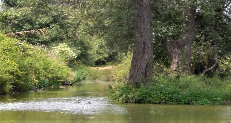 Μαγευτικές εικόνες από το Κτήμα της Μητρόπολης | Κι όμως ο &quot;παράδεισος&quot; αυτός βρίσκεται στη Λήμνο (photos)