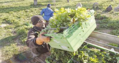 &Beta;ό&rho;&epsilon;&iota;&omicron; &Alpha;&iota;&gamma;&alpha;ί&omicron;: &Pi;&rho;&omicron;ώ&theta;&eta;&sigma;&eta; έ&rho;&epsilon;&upsilon;&nu;&alpha;&sigmaf; &kappa;&alpha;&iota; &kappa;&alpha;&iota;&nu;&omicron;&tau;&omicron;&mu;ί&alpha;&sigmaf; &sigma;&epsilon; &nu;έ&epsilon;&sigmaf; &mu;&iota;&kappa;&rho;&omicron;&mu;&epsilon;&sigma;&alpha;ί&epsilon;&sigmaf; &epsilon;&pi;&iota;&chi;&epsilon;&iota;&rho;ή&sigma;&epsilon;&iota;&sigmaf;