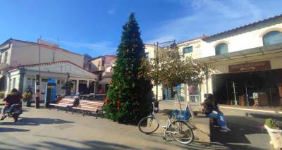 &Alpha;ύ&rho;&iota;&omicron; &eta;  &phi;&omega;&tau;&alpha;&gamma;ώ&gamma;&eta;&sigma;&eta; &tau;&omicron;&upsilon;  &delta;έ&nu;&tau;&rho;&omicron;&upsilon; &sigma;&tau;&eta; &Mu;ύ&rho;&iota;&nu;&alpha; | Na &alpha;&pi;&omicron;&mu;&alpha;&kappa;&rho;&upsilon;&nu;&theta;&omicron;ύ&nu; &tau;&alpha; &omicron;&chi;ή&mu;&alpha;&tau;&alpha; &zeta;&eta;&tau;ά&epsilon;&iota; &omicron; &Omicron;&Epsilon;&Pi;&Alpha;