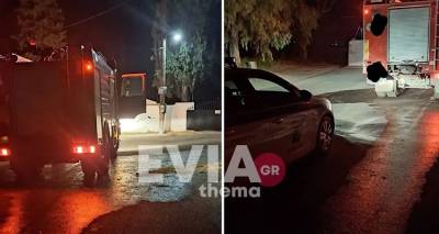 &Chi;&alpha;&lambda;&kappa;ί&delta;&alpha;: &Pi;έ&tau;&alpha;&xi;&alpha;&nu; &sigma;&kappa;ύ&lambda;&omicron; &sigma;&epsilon; &kappa;ά&delta;&omicron; &alpha;&pi;&omicron;&rho;&rho;&iota;&mu;&mu;ά&tau;&omega;&nu; &kappa;&alpha;&iota; &tau;&omicron;&nu; έ&kappa;&alpha;&psi;&alpha;&nu;