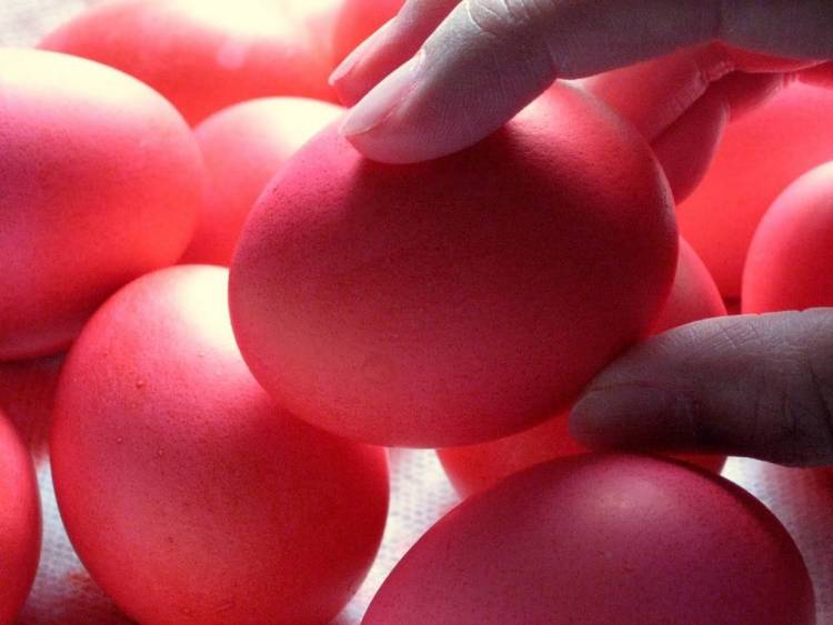 &Omicron;&delta;&eta;&gamma;ί&epsilon;&sigmaf; &gamma;&iota;&alpha; &tau;&omicron;&upsilon;&sigmaf; &kappa;&alpha;&tau;&alpha;&nu;&alpha;&lambda;&omega;&tau;έ&sigmaf; &epsilon;&nu;ό&psi;&epsilon;&iota; &epsilon;&omicron;&rho;&tau;ώ&nu; &tau;&omicron;&upsilon; &Pi;ά&sigma;&chi;&alpha;