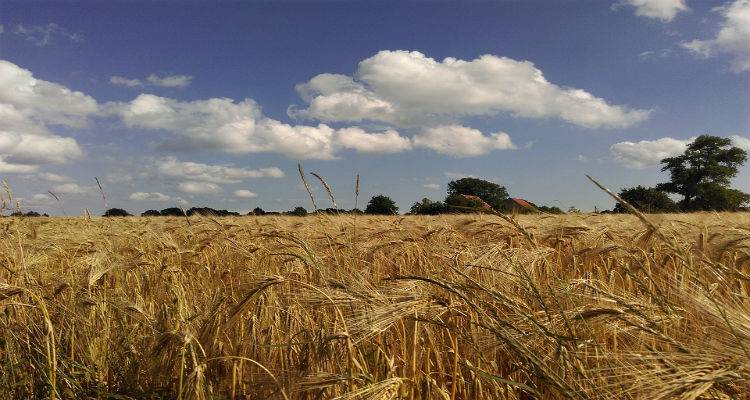 &Lambda;ή&mu;&nu;&omicron;&sigmaf;: &Xi;&epsilon;&kappa;ί&nu;&eta;&sigma;&alpha;&nu; &omicron;&iota; &alpha;&iota;&tau;ή&sigma;&epsilon;&iota;&sigmaf; &gamma;&iota;&alpha; &tau;&iota;&sigmaf; &zeta;&eta;&mu;&iota;έ&sigmaf; &sigma;&tau;&alpha; &sigma;&iota;&tau;&eta;&rho;ά &alpha;&pi;ό &kappa;&alpha;&lambda;&lambda;&iota;έ&rho;&gamma;&epsilon;&iota;&epsilon;&sigmaf;