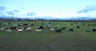 &Tau;έ&lambda;&omicron;&sigmaf; &sigma;&tau;&alpha; &psi;έ&mu;&alpha;&tau;&alpha; &mu;&epsilon; &tau;&iota;&sigmaf; &epsilon;&pi;&iota;&delta;&omicron;&tau;ή&sigma;&epsilon;&iota;&sigmaf;