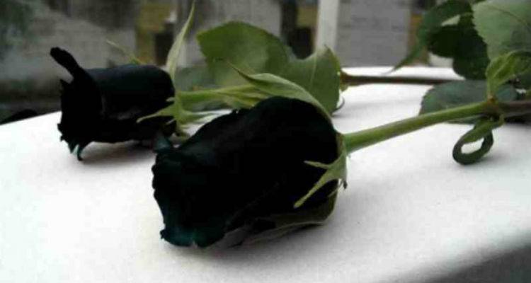 &Delta;&epsilon;&nu; ά&nu;&tau;&epsilon;&xi;&epsilon; &omicron; 63&chi;&rho;&omicron;&nu;&omicron;&sigmaf; &Lambda;&eta;&mu;&nu;&iota;ό&sigmaf; &pi;&omicron;&upsilon; &epsilon;ί&chi;&epsilon; &tau;&rho;&alpha;&upsilon;&mu;&alpha;&tau;&iota;&sigma;&tau;&epsilon;ί &sigma;&epsilon; &tau;&rho;&omicron;&chi;&alpha;ί&omicron;