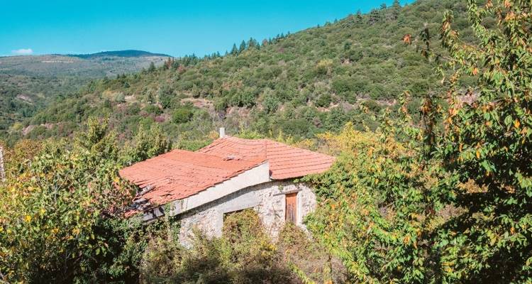 &Omicron;&lambda;&eta; &eta; &rho;ύ&theta;&mu;&iota;&sigma;&eta; &gamma;&iota;&alpha; &tau;&alpha; &epsilon;&kappa;&tau;ό&sigmaf; &sigma;&chi;&epsilon;&delta;ί&omicron;&upsilon;: &Pi;&omicron;&iota;&omicron;&iota; &chi;&tau;ί&zeta;&omicron;&upsilon;&nu; &kappa;&alpha;&iota; &pi;&omicron;&iota;&omicron;&iota; ό&chi;&iota; &mu;&epsilon; &tau;&omicron;&nu; &nu;έ&omicron; &nu;ό&mu;&omicron;