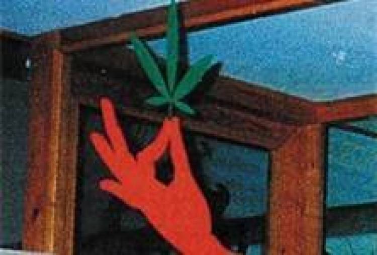 Προοπτική καλλιέργειας της κλωστικής κάνναβης δίνει η ψήφιση ν/σ του Υπουργείου Δικαιοσύνης