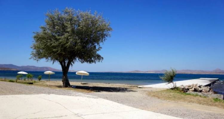 &Eta; &alpha;&upsilon;&sigma;&tau;&rho;&alpha;&lambda;&iota;&alpha;&nu;ή &pi;&rho;&omicron;&beta;&lambda;ή&tau;&alpha; ό&pi;&omega;&sigmaf; &epsilon;ί&nu;&alpha;&iota; &sigma;ή&mu;&epsilon;&rho;&alpha;, &kappa;&alpha;&theta;ώ&sigmaf; &kappa;&omicron;&iota;&tau;ά&zeta;&omicron;&upsilon;&mu;&epsilon; &tau;&omicron;&nu; &kappa;ό&lambda;&pi;&omicron; &tau;&omicron;&upsilon; &Mu;&omicron;ύ&delta;&rho;&omicron;&upsilon;. &Phi;ώ&tau;&omicron;: &Delta;&eta;&mu;ή&tau;&rho;&eta;&sigmaf; &Mu;&pi;&omicron;&upsilon;&lambda;ώ&tau;&eta;&sigmaf; 2017