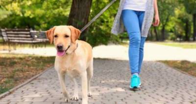 &Epsilon;&lambda;&epsilon;ύ&theta;&epsilon;&rho;&eta; &eta; &epsilon;ί&sigma;&omicron;&delta;&omicron;&sigmaf; &zeta;ώ&omega;&nu; &sigma;&epsilon; &Kappa;&alpha;&beta;&epsilon;ί&rho;&iota;&alpha;, &Pi;&omicron;&lambda;&iota;ό&chi;&nu;&eta;, &Eta;&phi;&alpha;&iota;&sigma;&tau;ί&alpha;