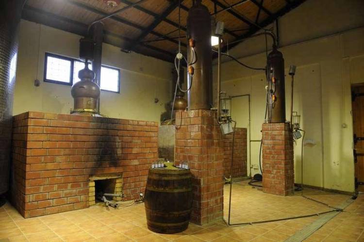 &laquo;&Pi;&omicron;&nu;&omicron;&kappa;έ&phi;&alpha;&lambda;&omicron;&sigmaf;&raquo; &lambda;ό&gamma;&omega;&hellip; &tau;&sigma;ί&pi;&omicron;&upsilon;&rho;&omicron;&upsilon; | &Alpha;&iota;&tau;ή&sigma;&epsilon;&iota;&sigmaf; &mu;έ&sigma;&omega; Taxisnet &gamma;&iota;&alpha; &tau;&eta;&nu; &alpha;&pi;ό&sigma;&tau;&alpha;&xi;&eta;