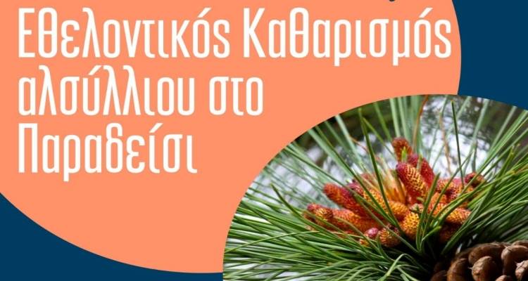 &Lambda;ή&mu;&nu;&omicron;&sigmaf;: &Epsilon;&theta;&epsilon;&lambda;&omicron;&nu;&tau;&iota;&kappa;ό&sigmaf; &kappa;&alpha;&theta;&alpha;&rho;&iota;&sigma;&mu;ό&sigmaf; &tau;&omicron;&upsilon; &alpha;&lambda;&sigma;&upsilon;&lambda;&lambda;ί&omicron;&upsilon; &sigma;&tau;&omicron; &Pi;&alpha;&rho;&alpha;&delta;&epsilon;ί&sigma;&iota;
