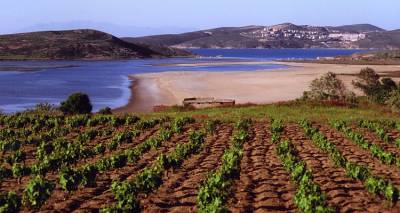 &Lambda;ή&mu;&nu;&omicron;&sigmaf;: &Alpha;&nu;&alpha;&kappa;&omicron;&iota;&nu;ώ&theta;&eta;&kappa;&alpha;&nu; &tau;&alpha; &pi;&omicron;&rho;ί&sigma;&mu;&alpha;&tau;&alpha; &tau;&omicron;&upsilon; &Epsilon;&Lambda;&Gamma;&Alpha; &gamma;&iota;&alpha; &tau;&iota;&sigmaf; &zeta;&eta;&mu;&iota;έ&sigmaf; &sigma;&epsilon; &alpha;&mu;&pi;&epsilon;&lambda;&omicron;&kappa;&alpha;&lambda;&lambda;&iota;έ&rho;&gamma;&epsilon;&iota;&epsilon;&sigmaf; &sigma;&tau;&iota;&sigmaf; &Delta;.&Epsilon; &Mu;ύ&rho;&iota;&nu;&alpha;&sigmaf; &kappa;&alpha;&iota; &Nu;. &Kappa;&omicron;ύ&tau;&alpha;&lambda;&eta;&sigmaf;