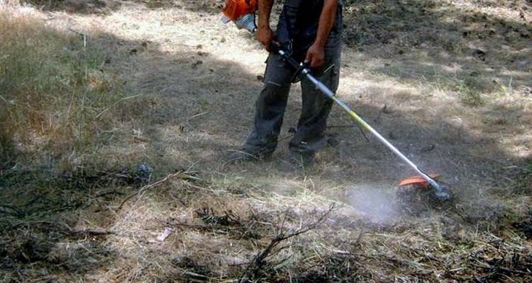 &Omicron; &Delta;ή&mu;&omicron;&sigmaf; &Lambda;ή&mu;&nu;&omicron;&upsilon; &epsilon;&phi;&iota;&sigma;&tau;ά &tau;&eta;&nu; &pi;&rho;&omicron;&sigma;&omicron;&chi;ή: &Upsilon;&pi;&omicron;&chi;&rho;&epsilon;&omega;&tau;&iota;&kappa;ό&sigmaf; &omicron; &kappa;&alpha;&theta;&alpha;&rho;&iota;&sigma;&mu;ό&sigmaf; &omicron;&iota;&kappa;&omicron;&pi;έ&delta;&omega;&nu; &gamma;&iota;&alpha; &tau;&eta;&nu; &alpha;&pi;&omicron;&phi;&upsilon;&gamma;ή &pi;&upsilon;&rho;&kappa;&alpha;&gamma;&iota;ά&sigmaf;