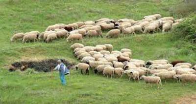 &Epsilon;&nu;ί&sigma;&chi;&upsilon;&sigma;&eta; 12 &epsilon;&kappa;&alpha;&tau;&omicron;&mu;&mu;&upsilon;&rho;ί&omega;&nu; &epsilon;&upsilon;&rho;ώ &sigma;&tau;&omicron;&upsilon;&sigmaf; &nu;&eta;&sigma;&iota;ώ&tau;&epsilon;&sigmaf; &kappa;&tau;&eta;&nu;&omicron;&tau;&rho;ό&phi;&omicron;&upsilon;&sigmaf; | Ά&nu;&omicron;&iota;&xi;&epsilon; &sigma;ή&mu;&epsilon;&rho;&alpha; &eta; &pi;&lambda;&alpha;&tau;&phi;ό&rho;&mu;&alpha; &gamma;&iota;&alpha; &tau;&eta;&nu; &upsilon;&pi;&omicron;&beta;&omicron;&lambda;ή &alpha;&iota;&tau;ή&sigma;&epsilon;&omega;&nu;