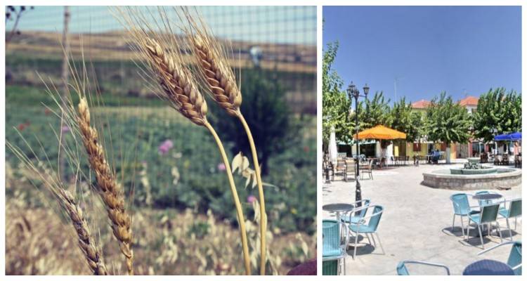 &Alpha;&tau;&sigma;&iota;&kappa;ή: &Delta;&iota;ή&mu;&epsilon;&rho;&eta; &epsilon;&kappa;&delta;ή&lambda;&omega;&sigma;&eta; &laquo;&Pi;&alpha;&rho;&alpha;&gamma;&omega;&gamma;ή &kappa;&alpha;&iota; &pi;&rho;&omicron;ώ&theta;&eta;&sigma;&eta; &pi;&iota;&sigma;&tau;&omicron;&pi;&omicron;&iota;&eta;&mu;έ&nu;&omega;&nu; &tau;&omicron;&pi;&iota;&kappa;ώ&nu; &pi;&rho;&omicron;ϊό&nu;&tau;&omega;&nu; &ndash; &epsilon;&theta;&epsilon;&lambda;&omicron;&nu;&tau;&iota;&kappa;ό &delta;ί&kappa;&tau;&upsilon;&omicron; &pi;&alpha;&rho;&alpha;&gamma;&omega;&gamma;ώ&nu;&raquo;