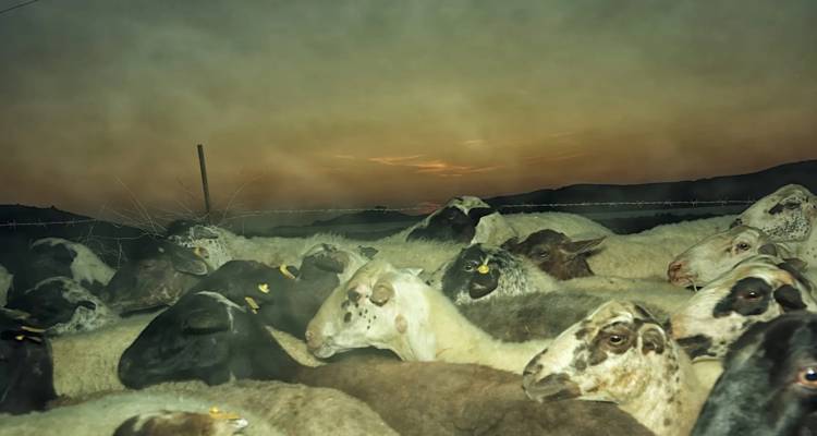 Kournos Music Festival: &Sigma;&upsilon;&nu;&delta;έ&omicron;&nu;&tau;&alpha;&sigmaf; &tau;&eta; &mu;&omicron;&upsilon;&sigma;&iota;&kappa;ή &mu;&epsilon; &tau;&eta; &phi;ύ&sigma;&eta; &tau;&eta;&sigmaf; &Lambda;ή&mu;&nu;&omicron;&upsilon; | &Tau;&omicron; &pi;&rho;ό&gamma;&rho;&alpha;&mu;&mu;&alpha;