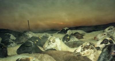 Kournos Music Festival: &Sigma;&upsilon;&nu;&delta;έ&omicron;&nu;&tau;&alpha;&sigmaf; &tau;&eta; &mu;&omicron;&upsilon;&sigma;&iota;&kappa;ή &mu;&epsilon; &tau;&eta; &phi;ύ&sigma;&eta; &tau;&eta;&sigmaf; &Lambda;ή&mu;&nu;&omicron;&upsilon; | &Tau;&omicron; &pi;&rho;ό&gamma;&rho;&alpha;&mu;&mu;&alpha;