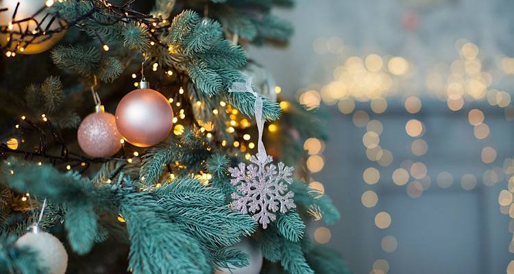 &Tau;&omicron; &Gamma;&eta;&rho;&omicron;&kappa;&omicron;&mu;&epsilon;ί&omicron; &Lambda;ή&mu;&nu;&omicron;&upsilon; &alpha;&nu;&alpha;&zeta;&eta;&tau;ά &Chi;&rho;&iota;&sigma;&tau;&omicron;&upsilon;&gamma;&epsilon;&nu;&nu;&iota;ά&tau;&iota;&kappa;&omicron; &delta;&iota;ά&kappa;&omicron;&sigma;&mu;&omicron;