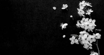 &Alpha;ύ&rho;&iota;&omicron; &eta; &kappa;&eta;&delta;&epsilon;ί&alpha; &tau;&omicron;&upsilon; &Nu;ί&kappa;&omicron;&upsilon; &Beta;&alpha;&beta;&beta;&omicron;ύ&kappa;&omicron;&upsilon; | &Eta; &epsilon;&pi;&iota;&theta;&upsilon;&mu;ί&alpha; &tau;&eta;&sigmaf; &omicron;&iota;&kappa;&omicron;&gamma;έ&nu;&epsilon;&iota;&alpha;&sigmaf;