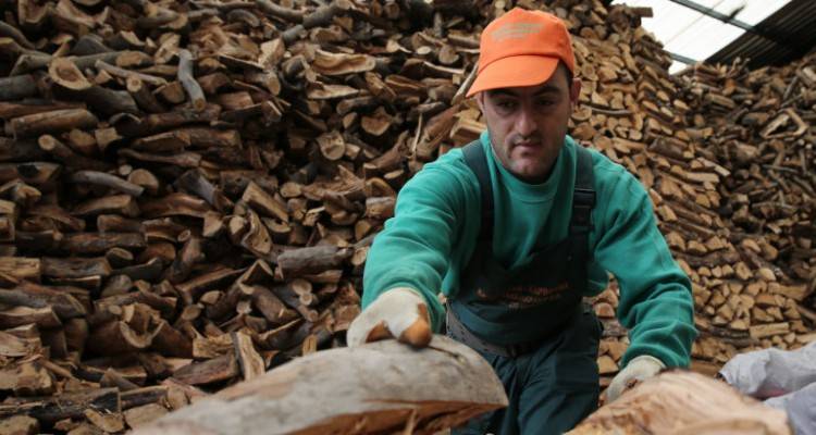 &Alpha;&lambda;&lambda;ά&zeta;&omicron;&upsilon;&nu; ό&lambda;&alpha; &sigma;&tau;&omicron; &epsilon;&pi;ί&delta;&omicron;&mu;&alpha; &theta;έ&rho;&mu;&alpha;&nu;&sigma;&eta;&sigmaf;: &Phi;&upsilon;&sigma;&iota;&kappa;ό &alpha;έ&rho;&iota;&omicron;, &upsilon;&gamma;&rho;&alpha;έ&rho;&iota;&omicron;, &xi;ύ&lambda;&alpha; &kappa;&alpha;&iota; &pi;έ&lambda;&epsilon;&tau; &sigma;&tau;&eta;&nu; &epsilon;&pi;&iota;&delta;ό&tau;&eta;&sigma;&eta; | &Kappa;&alpha;&tau;&alpha;&rho;&gamma;&omicron;ύ&nu;&tau;&alpha;&iota; &omicron;&iota; &zeta;ώ&nu;&epsilon;&sigmaf;