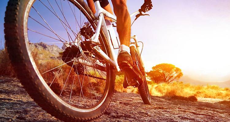 &Mu;&iota;&kappa;&rho;ή &alpha;&gamma;&gamma;&epsilon;&lambda;ί&alpha;: &Tau;&omicron; &kappa;&alpha;&tau;ά&sigma;&tau;&eta;&mu;&alpha; &Kappa;&upsilon;&mu;&pi;&rho;ί&tau;&eta; &alpha;&nu;&alpha;&zeta;&eta;&tau;ά &tau;&epsilon;&chi;&nu;&iota;&kappa;ό &pi;&omicron;&delta;&eta;&lambda;ά&tau;&omega;&nu;