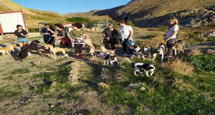 &Phi;&iota;&lambda;ό&zeta;&omega;&omicron;&iota; &pi;&omicron;&lambda;ί&tau;&epsilon;&sigmaf; &pi;ή&gamma;&alpha;&nu; &sigma;&tau;&omicron; &kappa;&alpha;&tau;&alpha;&phi;ύ&gamma;&iota;&omicron; &alpha;&delta;έ&sigma;&pi;&omicron;&tau;&omega;&nu; &tau;&eta;&sigmaf; &Lambda;ή&mu;&nu;&omicron;&upsilon; &kappa;&alpha;&iota; έ&beta;&gamma;&alpha;&lambda;&alpha;&nu; &tau;&alpha; &sigma;&kappa;&upsilon;&lambda;ά&kappa;&iota;&alpha; &beta;ό&lambda;&tau;&alpha;